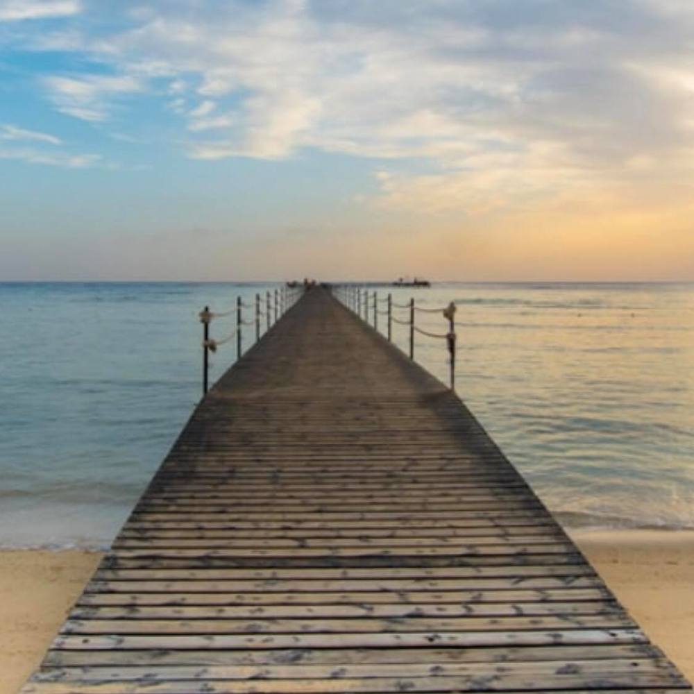 Meet your Posher, Elham